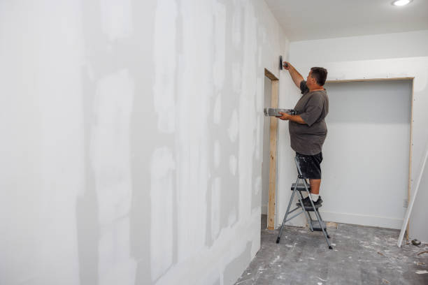 Best Commercial Painting  in Palmyra, MO